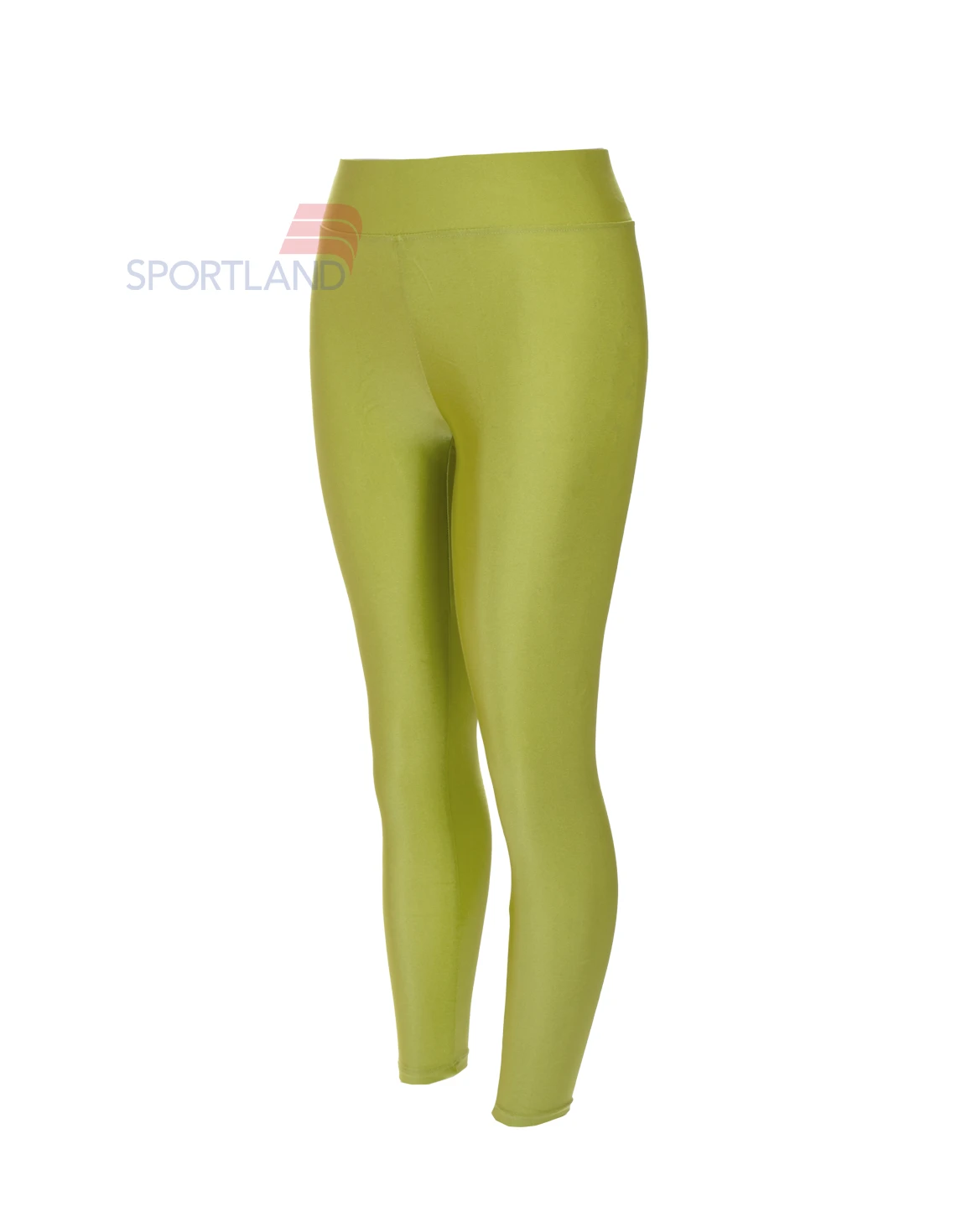 لگ ورزشی زنانه آگی Shiny Lycra 24035 W